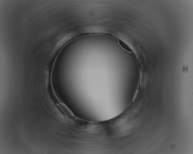 X0000096690109200802051356