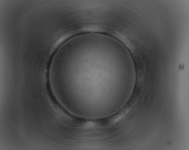 X0000096690111200802051356