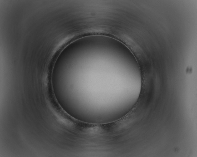 X0000096690112200802051356