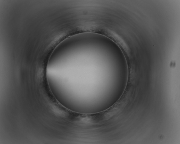 X0000096690113200802051356