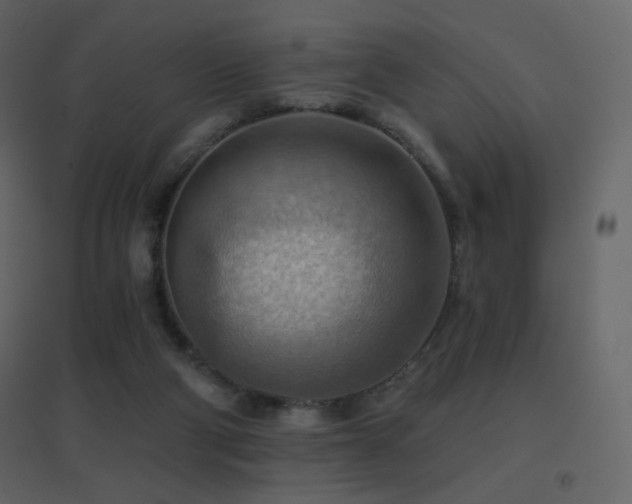 X0000096690114200802051356