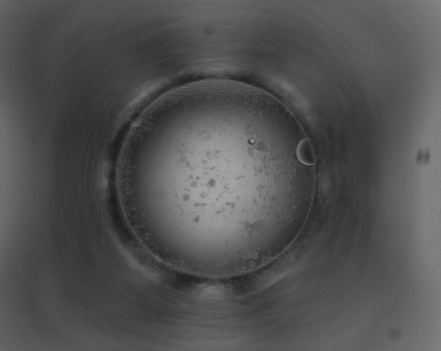 X0000096690115200802051356