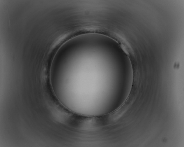 X0000096690116200802051356