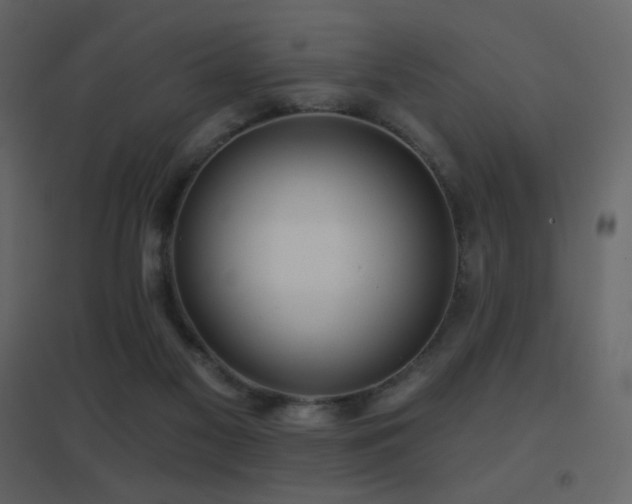 X0000096690117200802051356