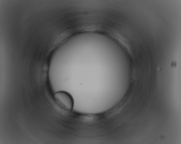 X0000096690118200802051356