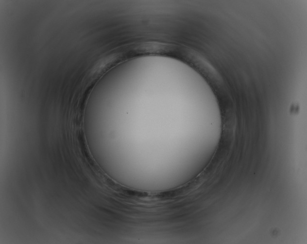 X0000096690119200802051356