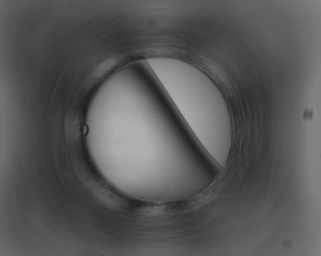 X0000096690120200802051356