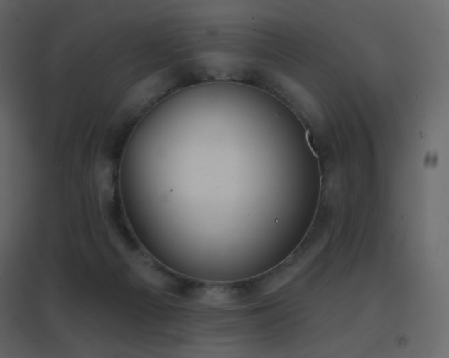 X0000096690121200802051356