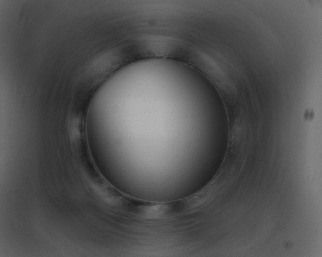 X0000096690122200802051356