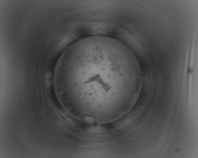 X0000096690123200802051356