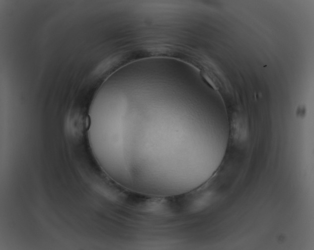 X0000096690124200802051356