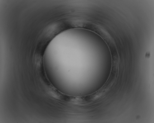 X0000096690125200802051356