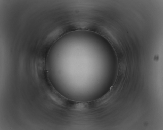 X0000096690126200802051356