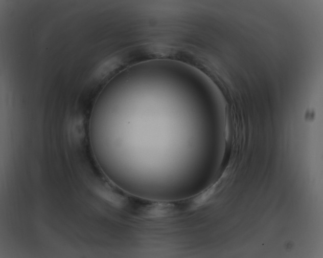 X0000096690128200802051356