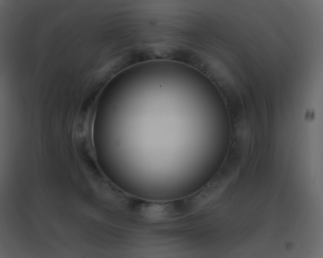 X0000096690129200802051356