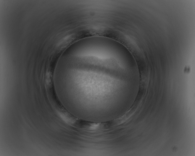 X0000096690130200802051356