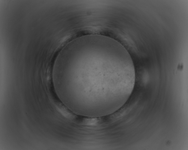 X0000096690131200802051356