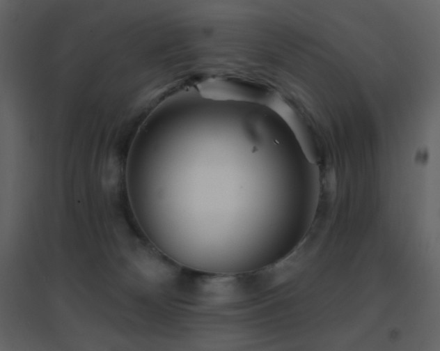 X0000096690132200802051356