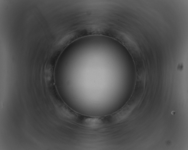 X0000096690133200802051356