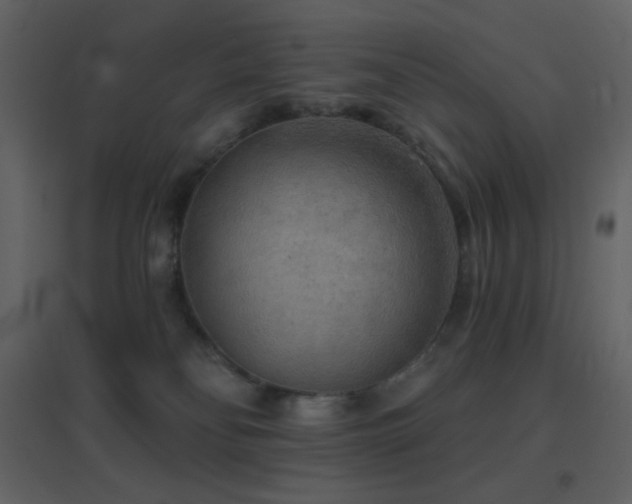 X0000096690134200802051356