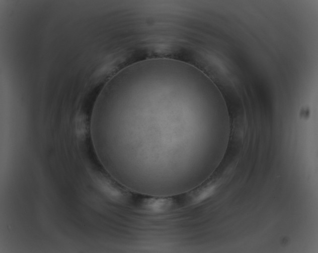 X0000096690135200802051356