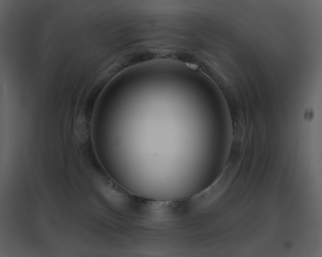 X0000096690136200802051356