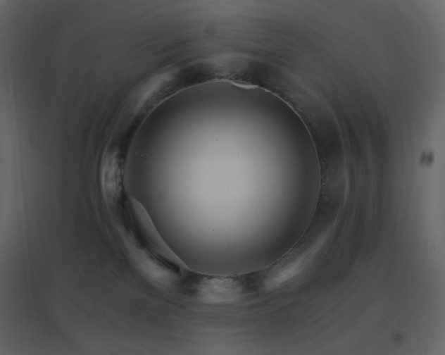 X0000096690137200802051356