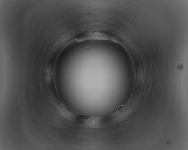 X0000096690138200802051356