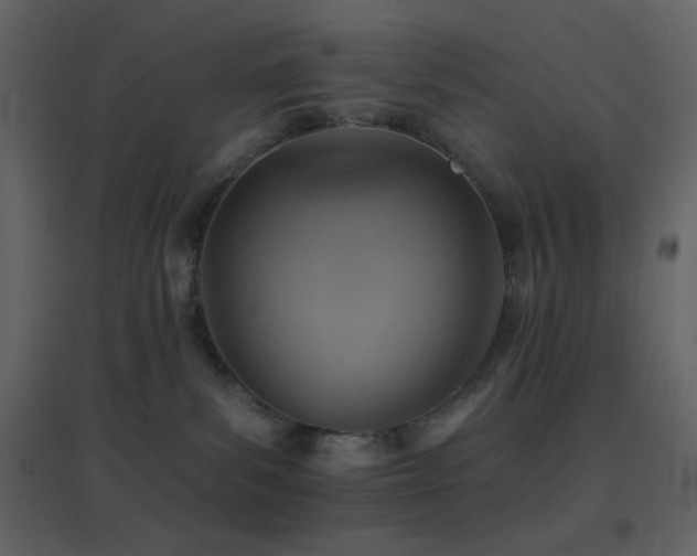 X0000096690139200802051356