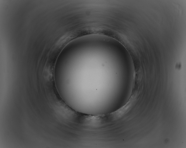 X0000096690140200802051355