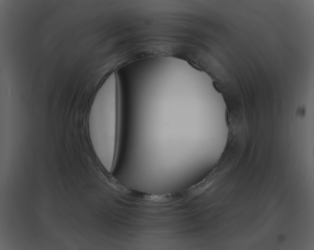 X0000096690141200802051355