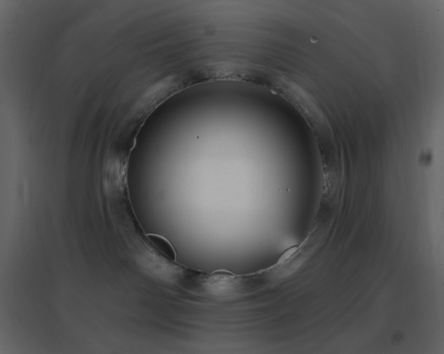 X0000096690142200802051355