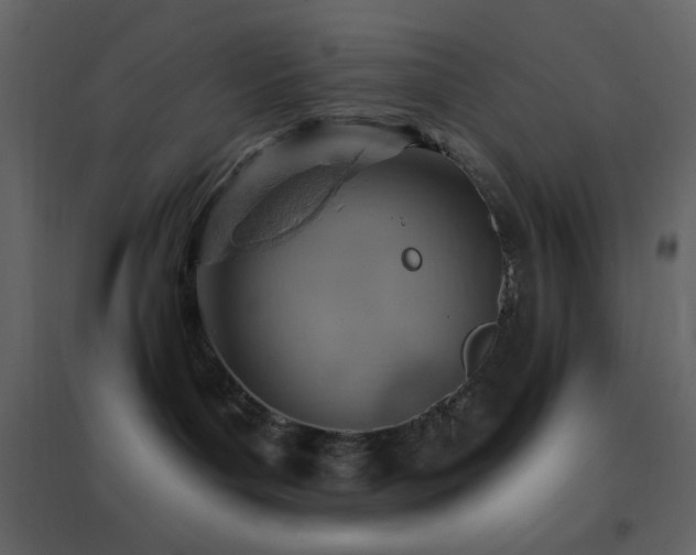 X0000096690143200802051355