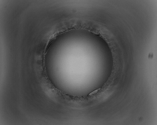 X0000096690144200802051355