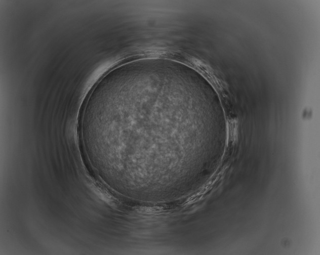 X0000096690147200802051355