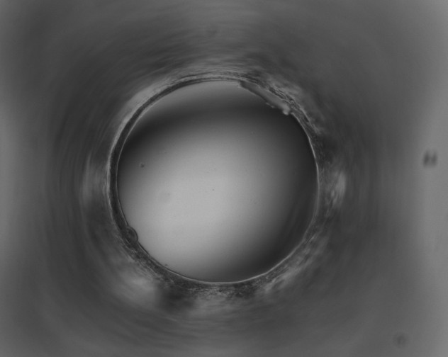 X0000096690148200802051355