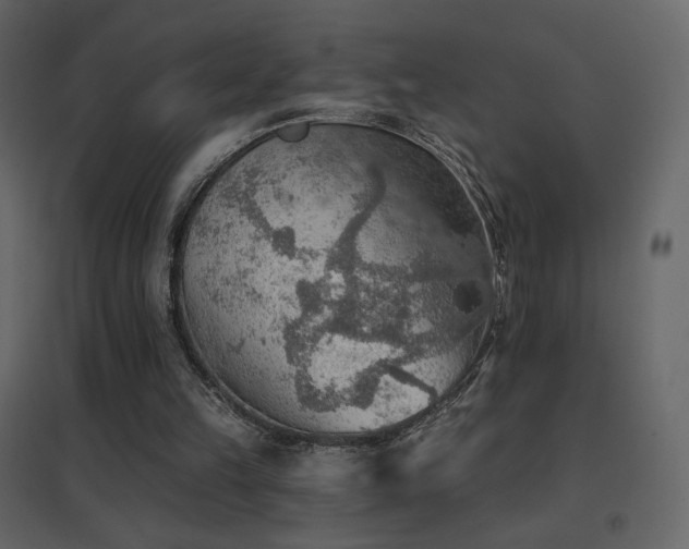 X0000096690149200802051355