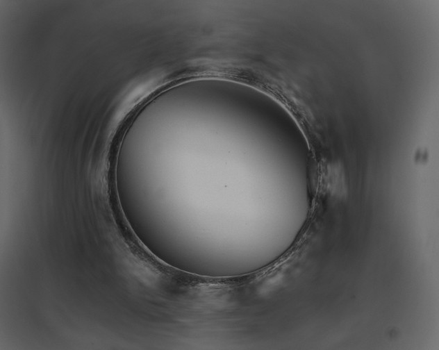 X0000096690150200802051355