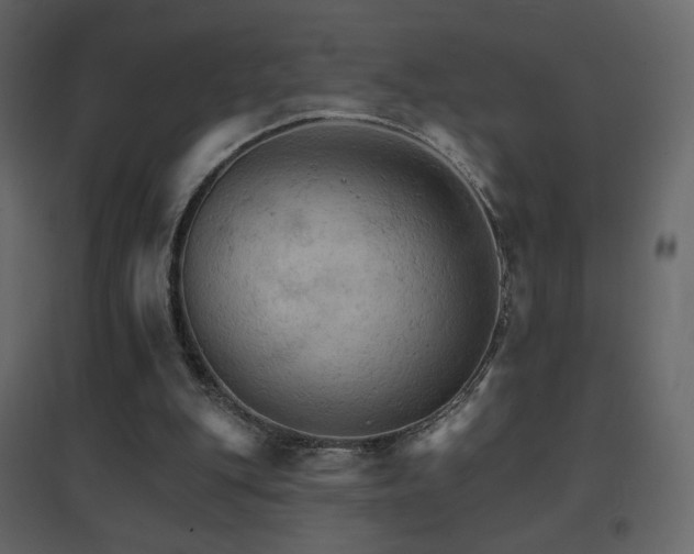 X0000096690151200802051355