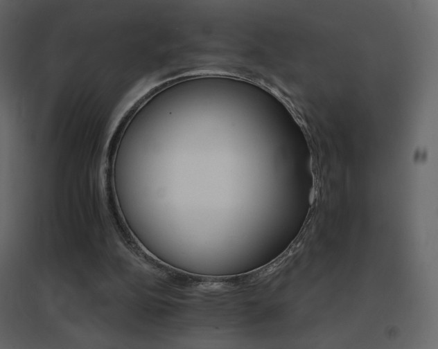 X0000096690152200802051355