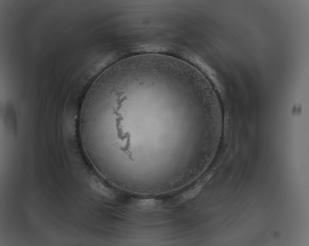 X0000096690153200802051355