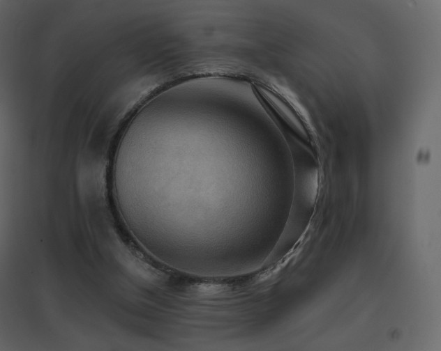 X0000096690154200802051355