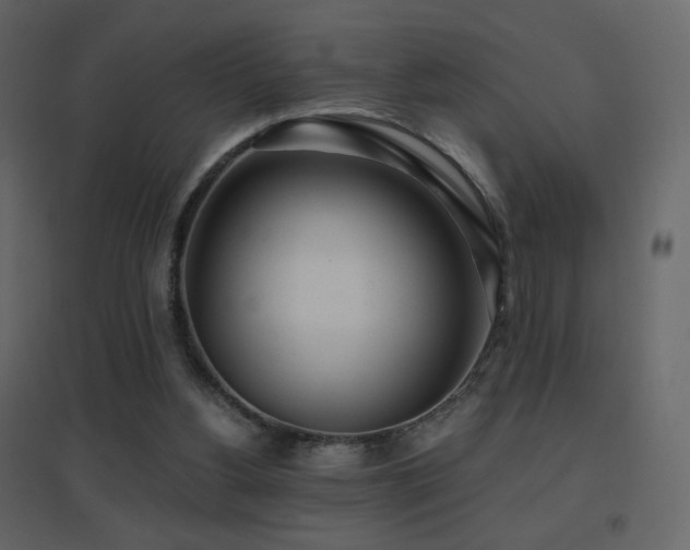 X0000096690156200802051355