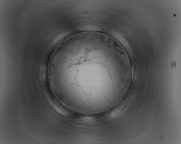 X0000096690157200802051355