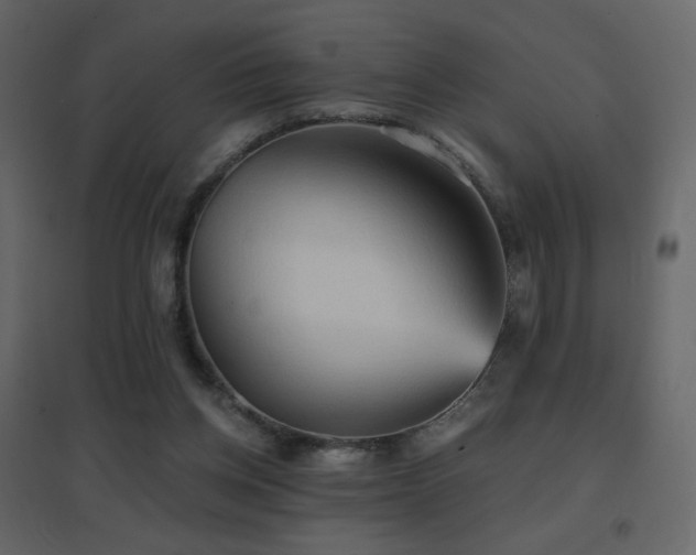 X0000096690158200802051355