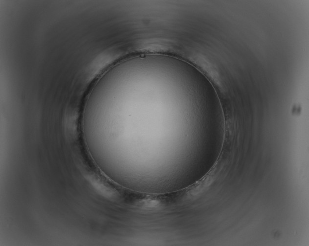 X0000096690159200802051355