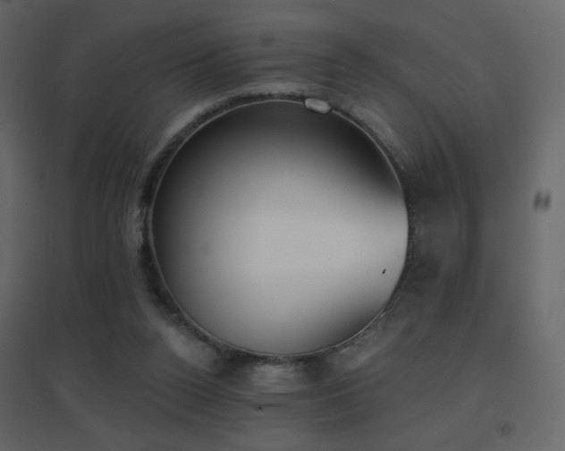 X0000096690160200802051355