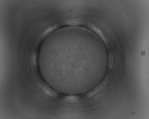 X0000096690161200802051355