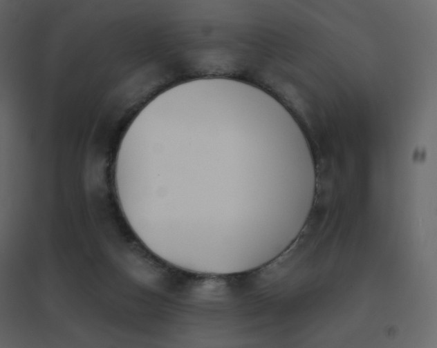 X0000096690162200802051355