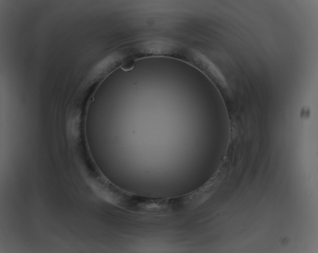 X0000096690163200802051355